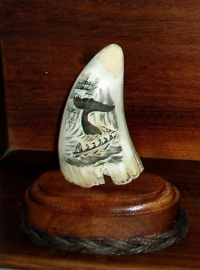 011 Scrimshaw whale tail